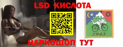 стафф Кандалакша