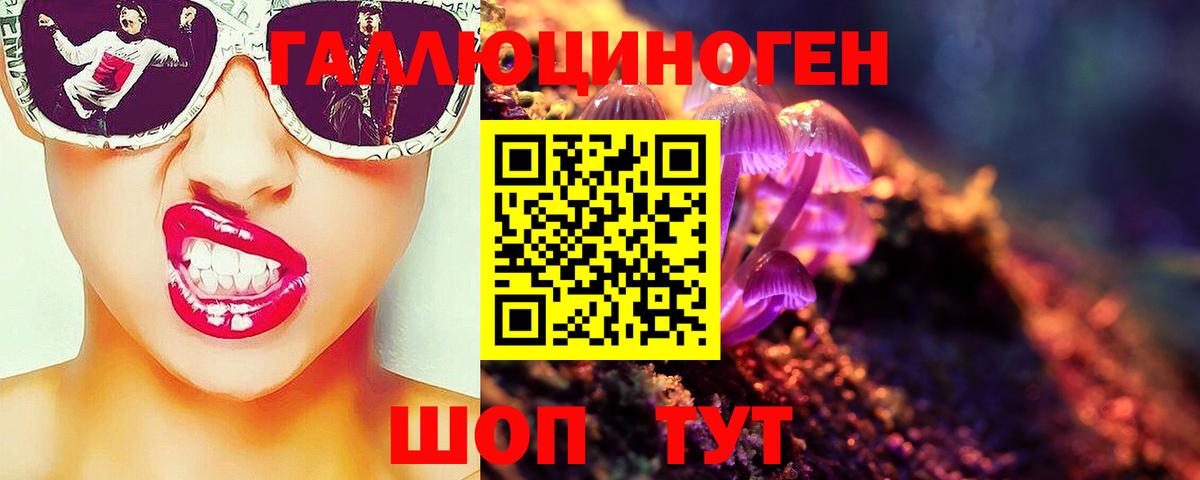 Королёв  Псилоцибиновые грибы ЛСД  Вход с VPN 